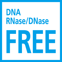 DNA RNase/DNase Free