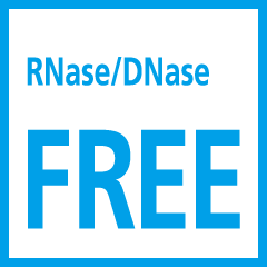DNA RNase/DNase FREE