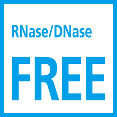 无 RNase/DNase