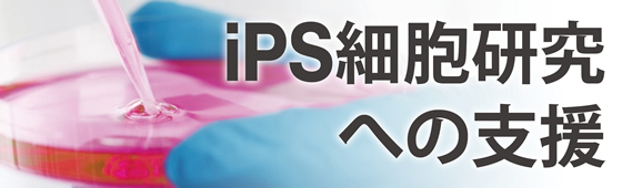 IPS細胞の研究への支援