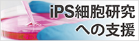 iPS細胞研究への支援
