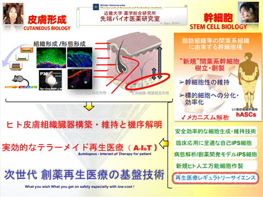 近畿大学薬学総合研究所 森山研究室紹介